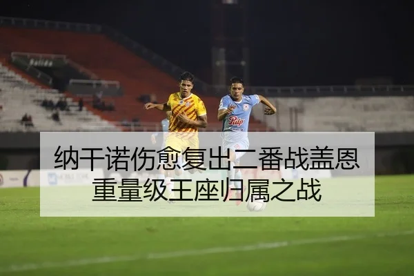 纳干诺伤愈复出二番战盖恩 重量级王座归属之战